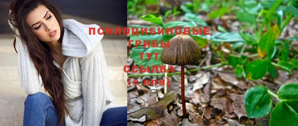 гидра Армянск