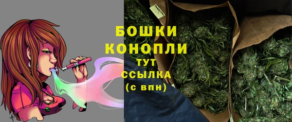 гидра Армянск